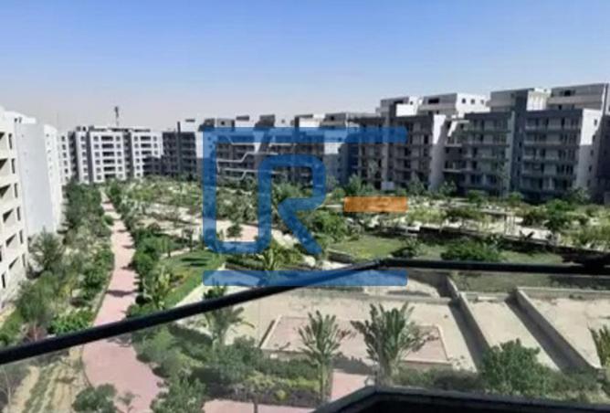 8184261 - Property Image 3