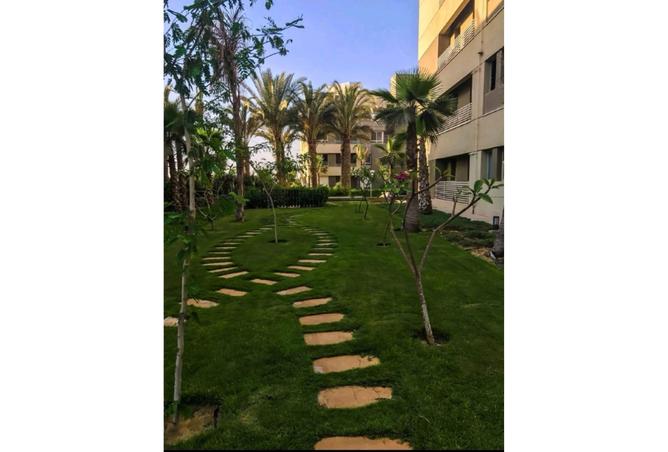 8204025 - Property Image 3