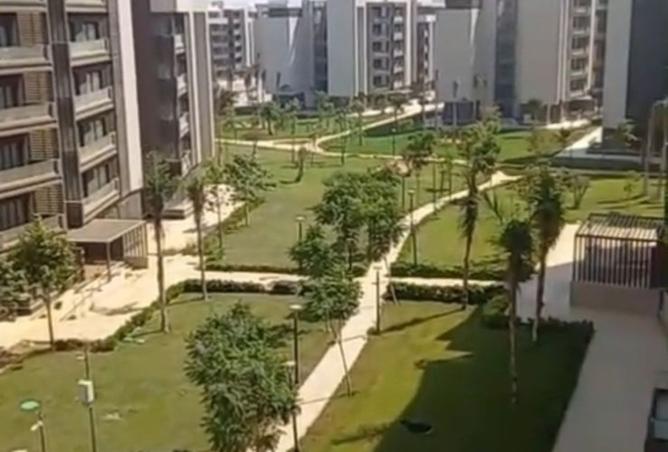 8218431 - صورة العقار 3