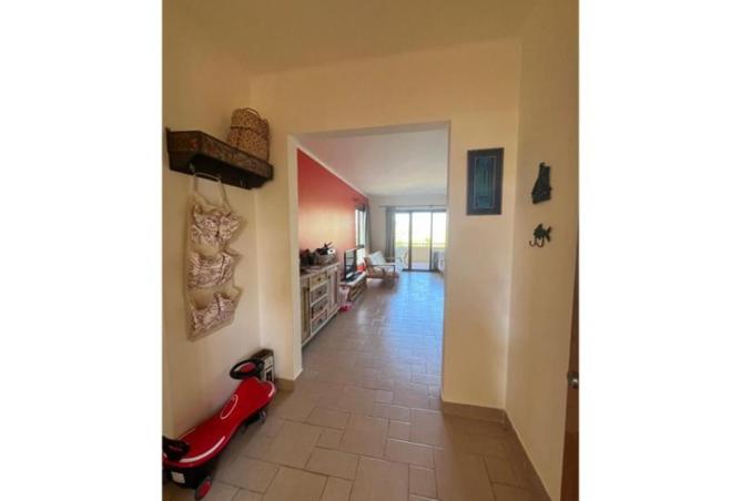 8165628 - صورة العقار 3