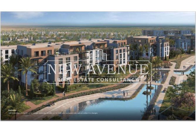 8391961 - Property Image 3