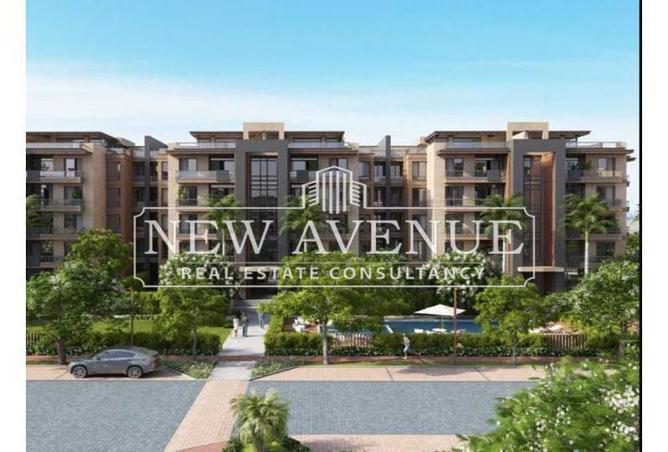 8432374 - Property Image 3