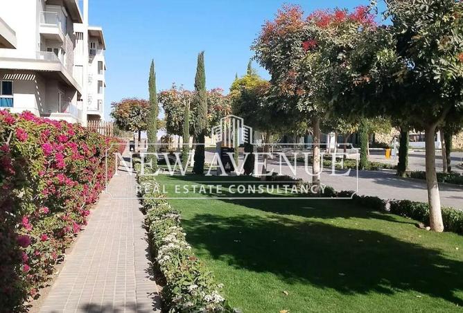 8237420 - صورة العقار 2