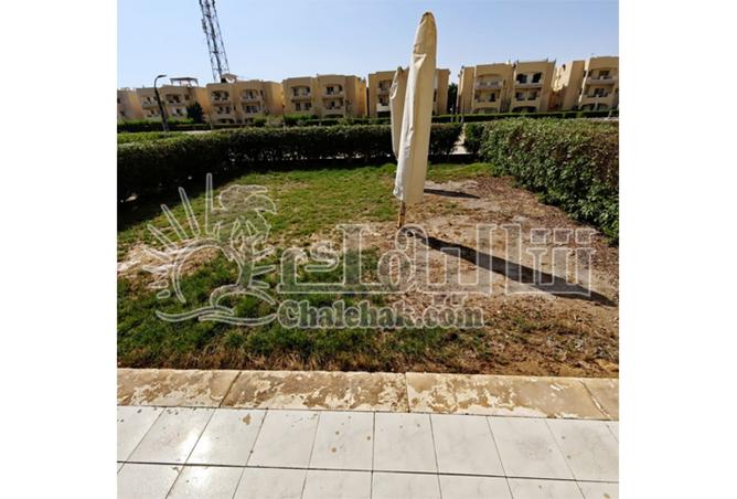 8385767 - Property Image 2