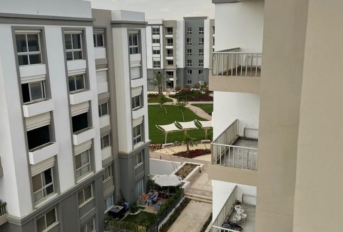 8036213 - صورة العقار 3