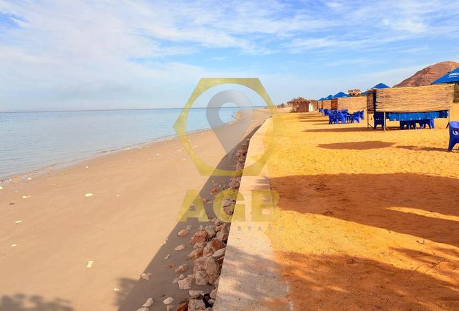 7767571 - صورة العقار 3