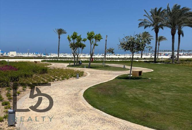 8210545 - Property Image 3