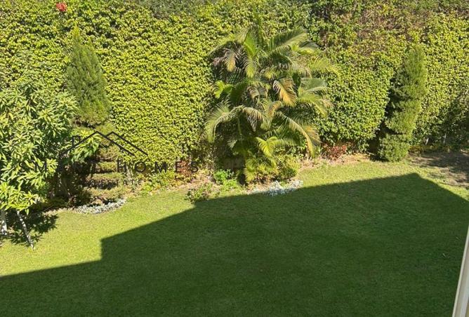 8176472 - صورة العقار 3