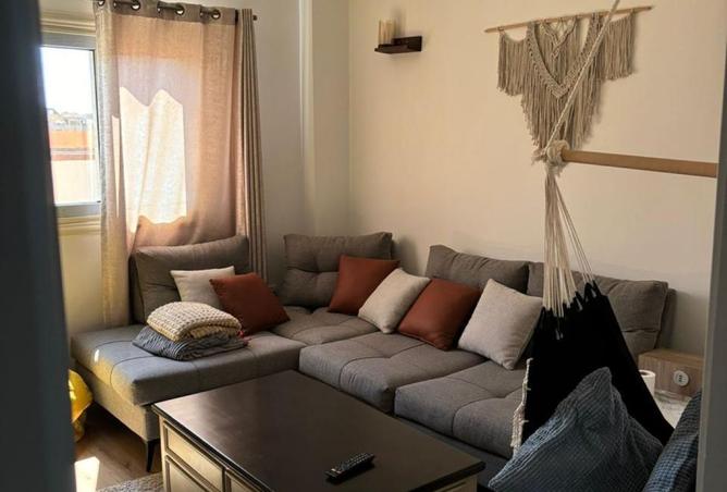 8059662 - Property Image 3