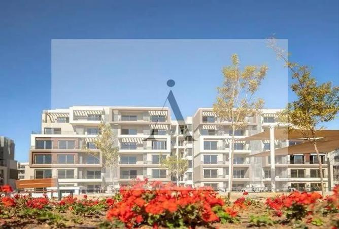 7975083 - Property Image 2