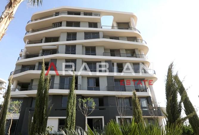 8296690 - Property Image 3