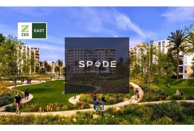 8166742 - Property Image 3