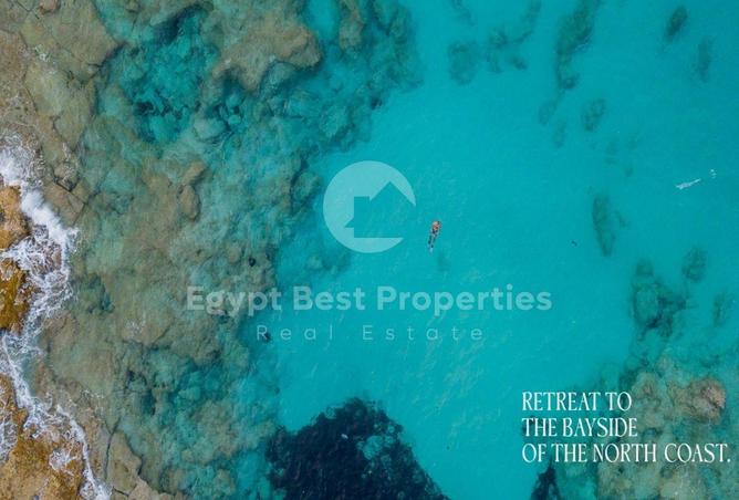 8384429 - Property Image 2