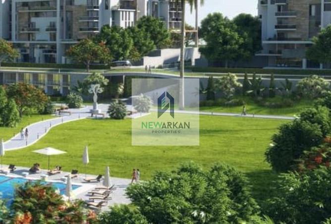 8282177 - Property Image 3