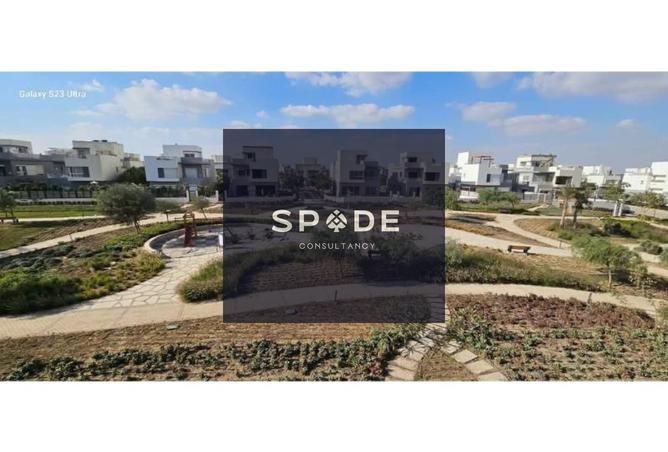 7784181 - Property Image 3