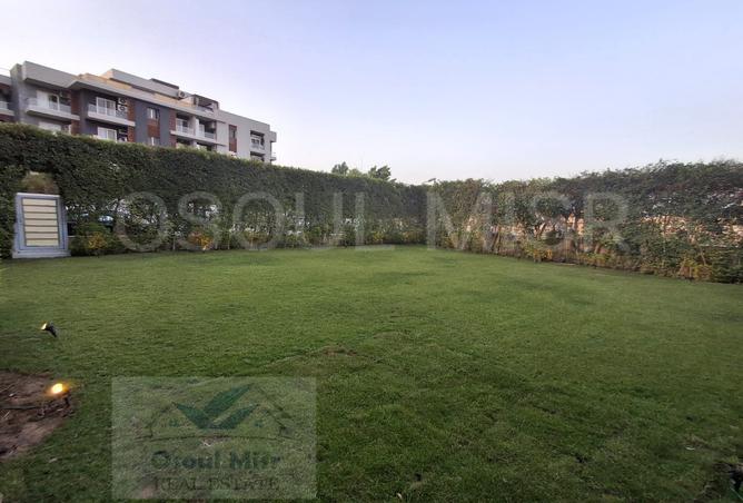 7987980 - Property Image 2