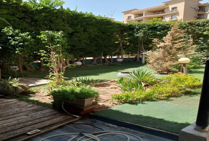 8010501 - صورة العقار 2