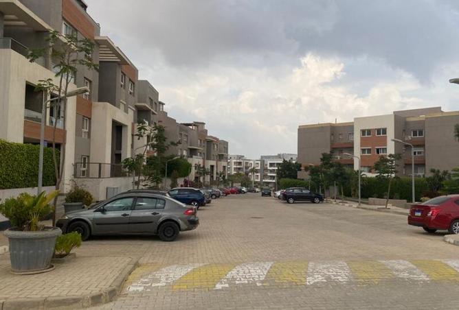 8040423 - Property Image 3