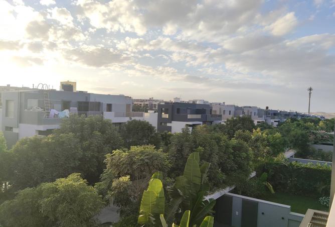 8064069 - صورة العقار 3