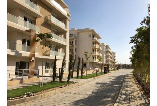 8040550 - Property Image 2