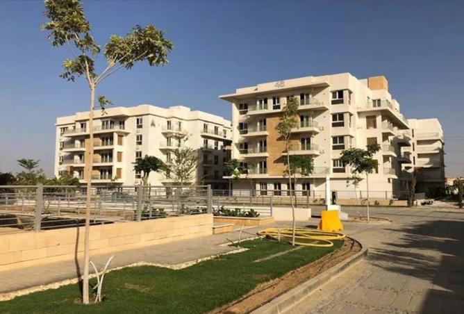 7988520 - Property Image 3