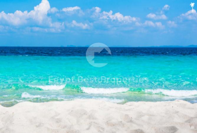 7975443 - صورة العقار 3