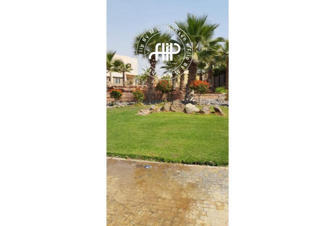 8483555 - Property Image 3