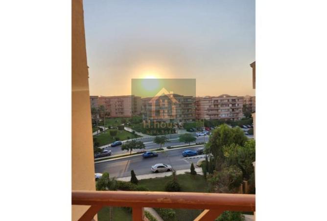 8095398 - صورة العقار 3