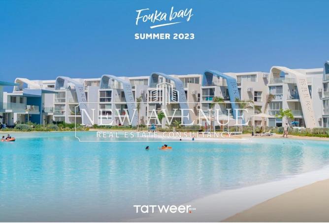 8178495 - Property Image 3