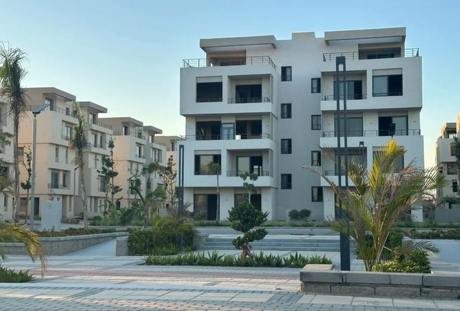 8257911 - Property Image 3