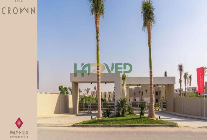 8106992 - Property Image 3