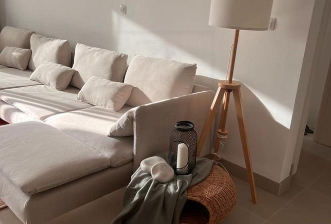 7886047 - Property Image 3