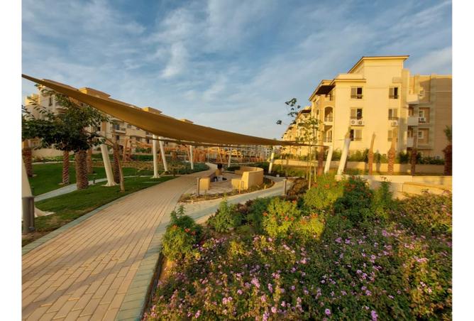 8355547 - Property Image 3