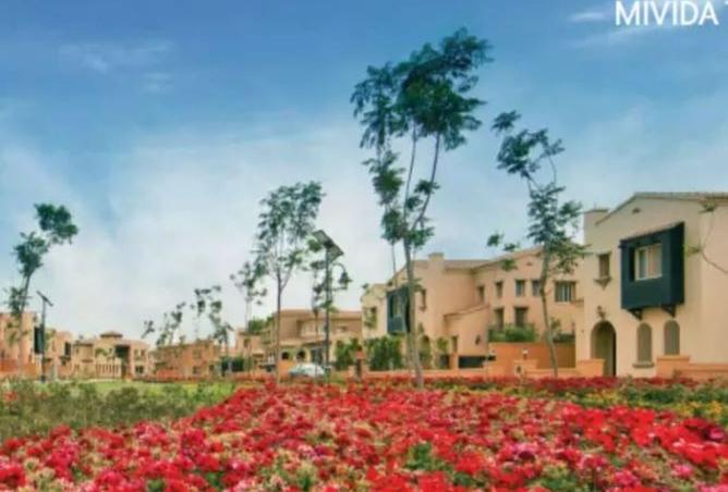 8386987 - صورة العقار 2