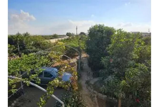 8311764 - صورة العقار 2