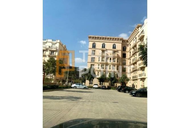 8313692 - Property Image 3