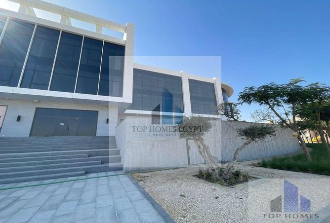 6665224 - صورة العقار 3