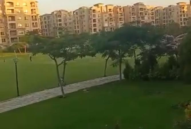 7946519 - الصورة الرئيسية للعقار