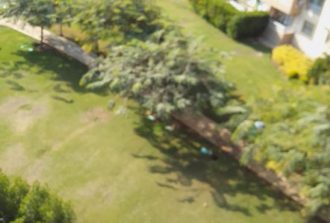 8480398 - صورة العقار 3