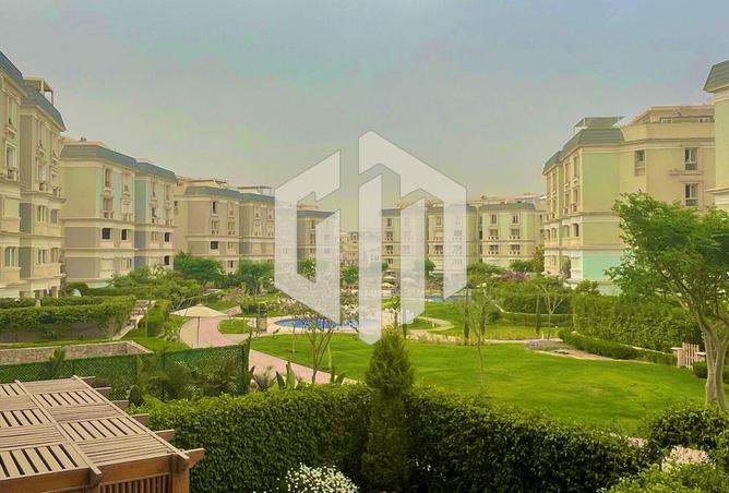 8026557 - Property Image 3