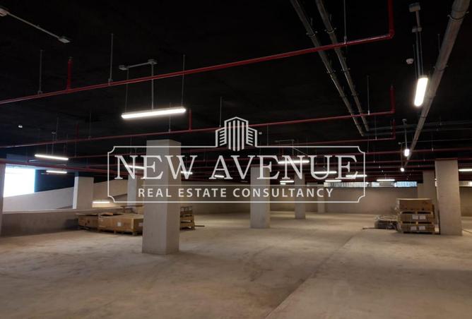 8214617 - Property Image 3