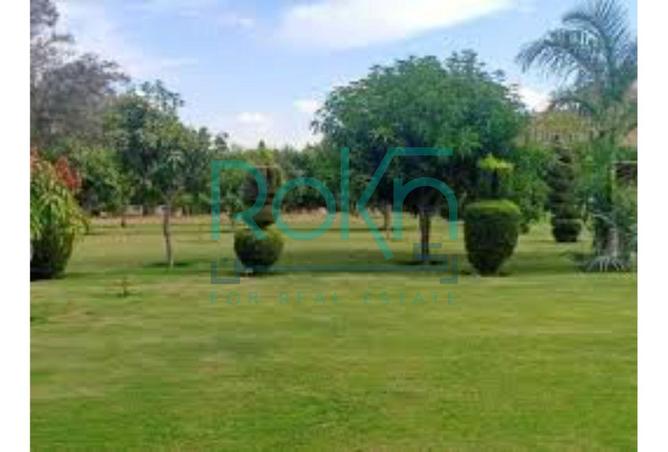 8378347 - Property Image 2