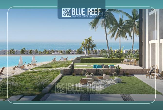 8295157 - Property Image 3