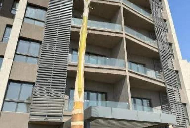 8188117 - Property Image 3