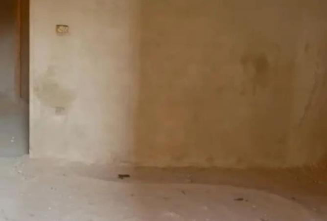 8068151 - Property Image 3