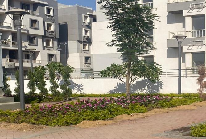 8378278 - صورة العقار 3