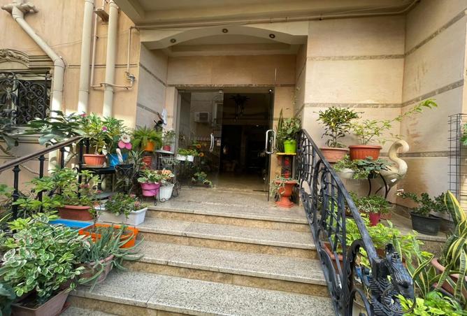 8248820 - الصورة الرئيسية للعقار