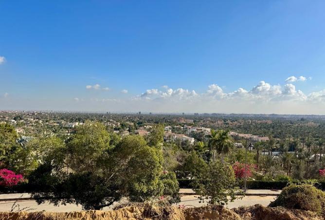 8323274 - Property Image 2