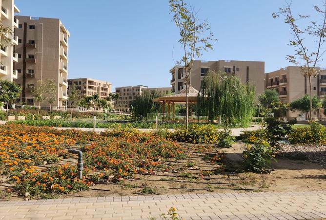 8221872 - صورة العقار 3