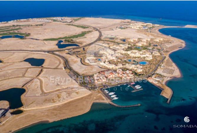 8248117 - Property Image 2